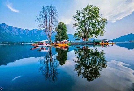 Exotic Kashmir